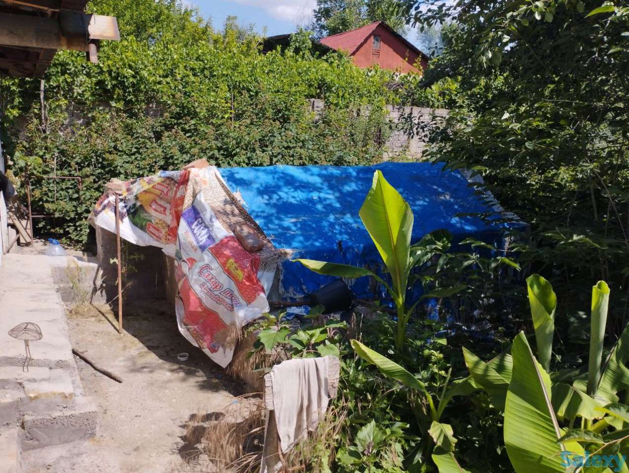 Продаётся дача 12 соток, Паркентский район, ташкентская обл., фотография 6