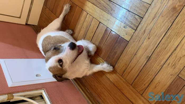 Ищем невесту, фотография 2