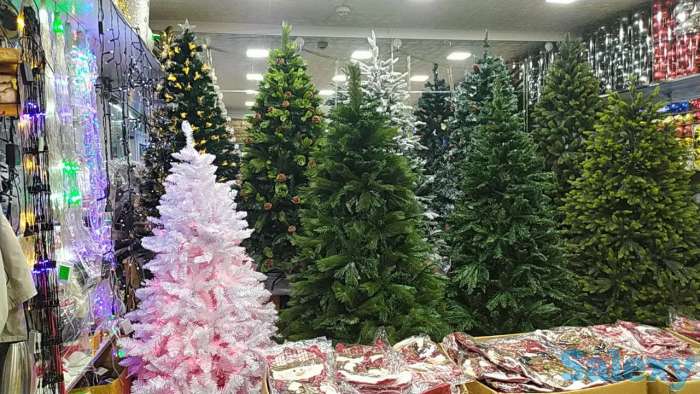 Елки 1 м - 25 м, фотография 2