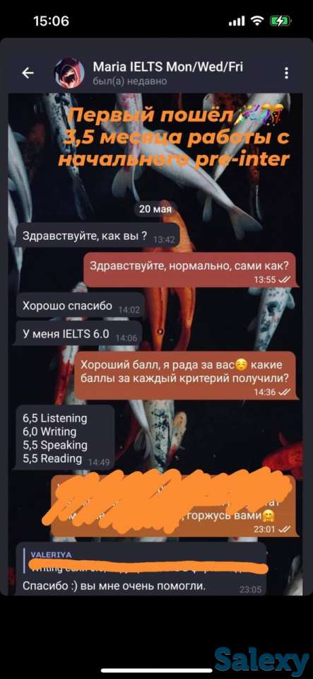 ОНЛАЙН подготовка к IELTS Academic в группе, фотография 1