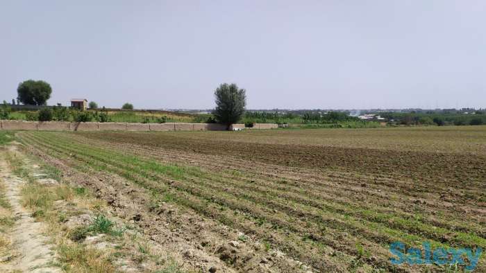 Продажа место для теплиц, фотография 3