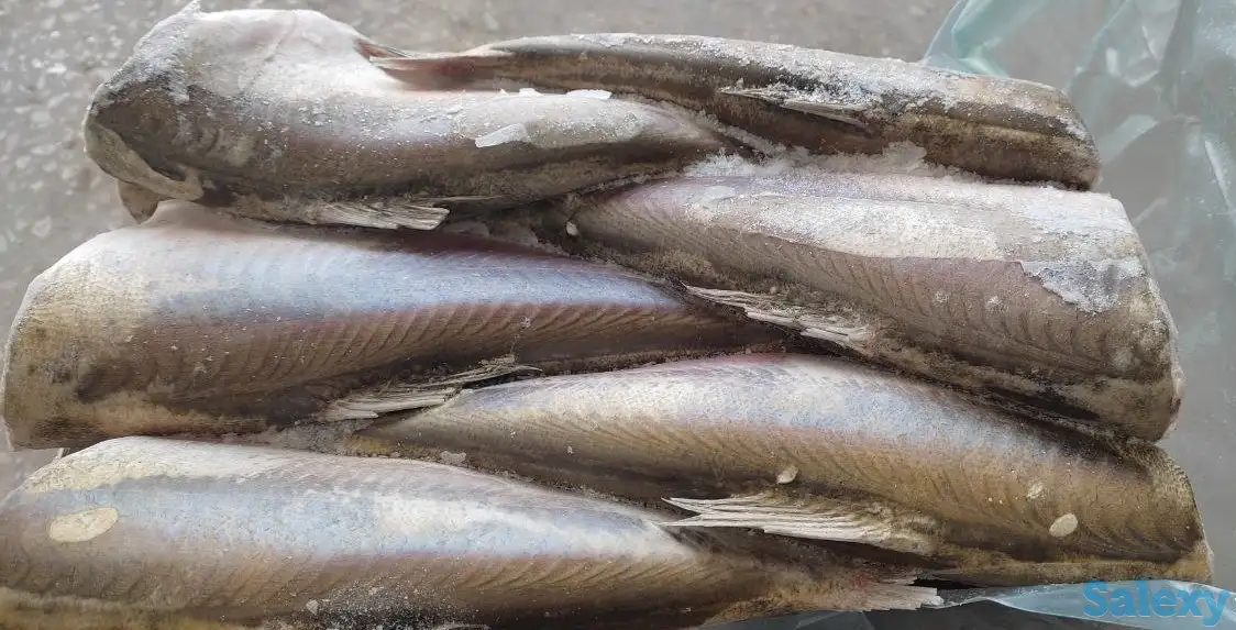 Замороженная рыба, фотография 1