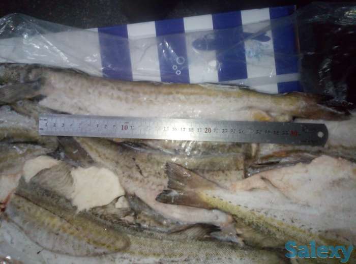 Замороженная рыба оптом минтай, горбуша, навага, сельдь ДЕШЕВО, фотография 8