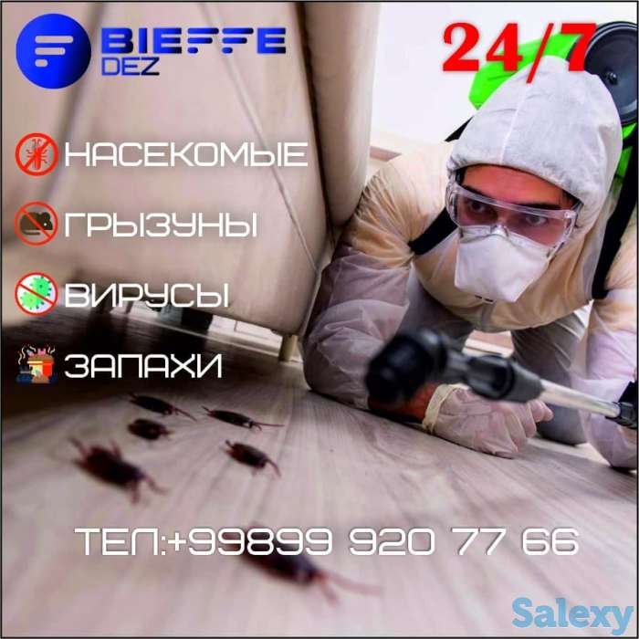 Дезинфекция от Bieffe-DEZ, фотография 1