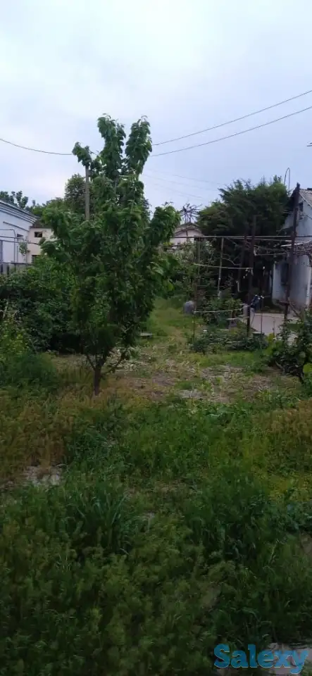 Продается дом, земля 6 соток., фотография 4