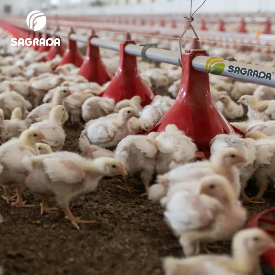 Оборудование для выращивания бройлеров с удаленным контролем, фотография 2