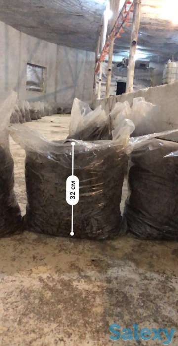 готовим на заказ компост и мицелий, фотография 1