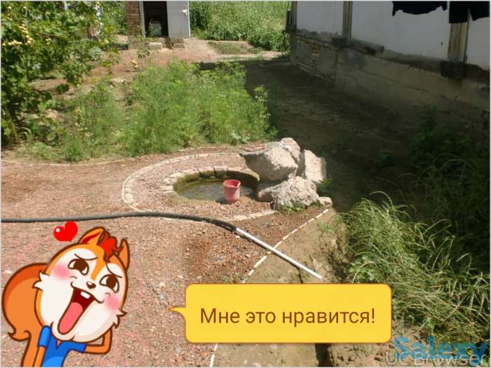 Продается два участка в Гулестане, фотография 3