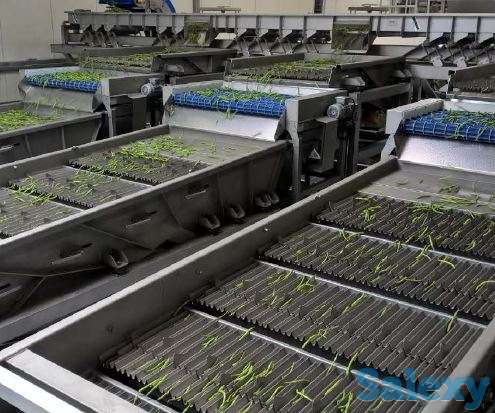 Решения по ПЕРЕРАБОТКЕ ПРОДУКТОВ (Sweere), фотография 7