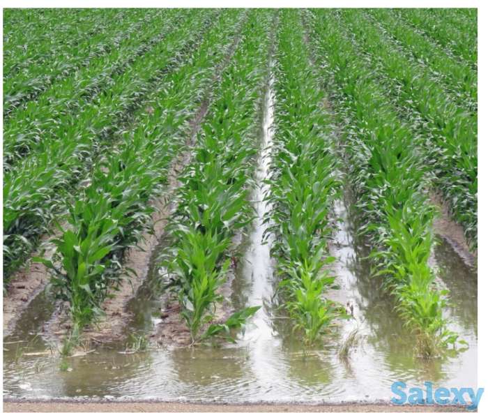 Поливщики на поле, фотография 1