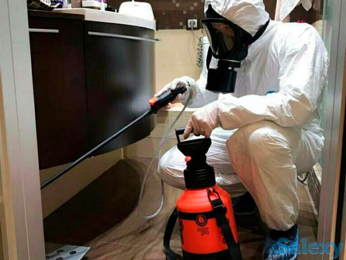 Дезинфекция от клопов и насекомых! Гарантия и Скидки!, фотография 6