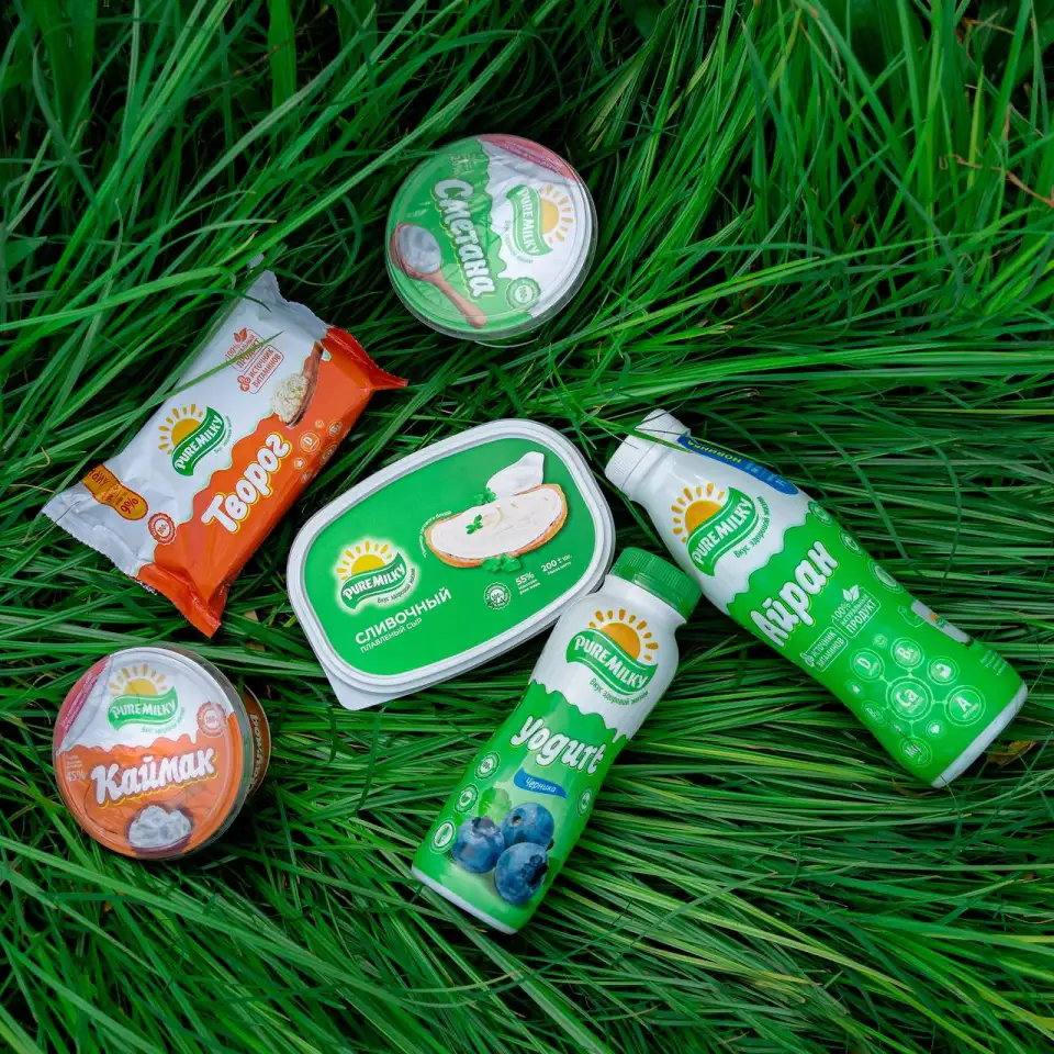 Супервайзер FMCG в компании PureMilky Works, фотография 3