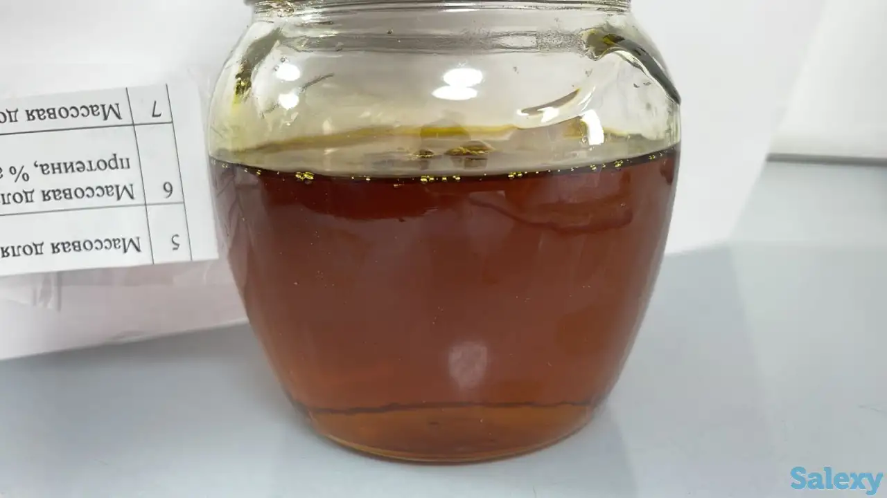 Соя бобы, соя шрот, соя нераф масло Казахстан, фотография 2