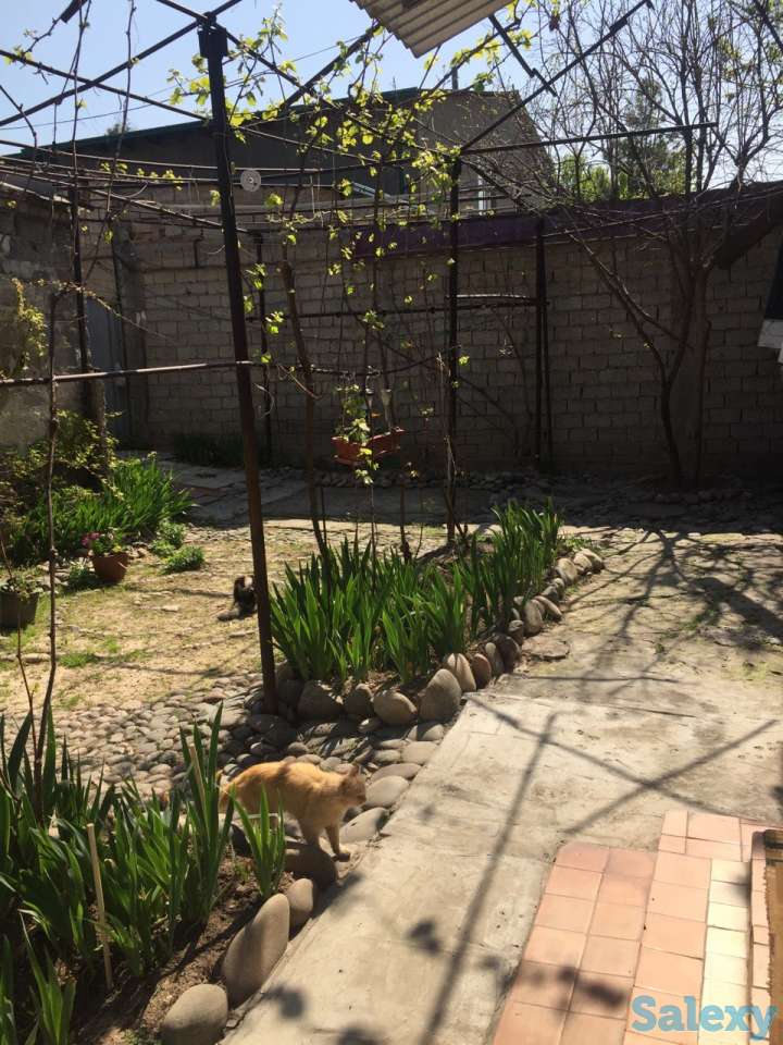 Продаю Дом, Юнус Абадский район, 3-й проезд Богиравон 19, фотография 5