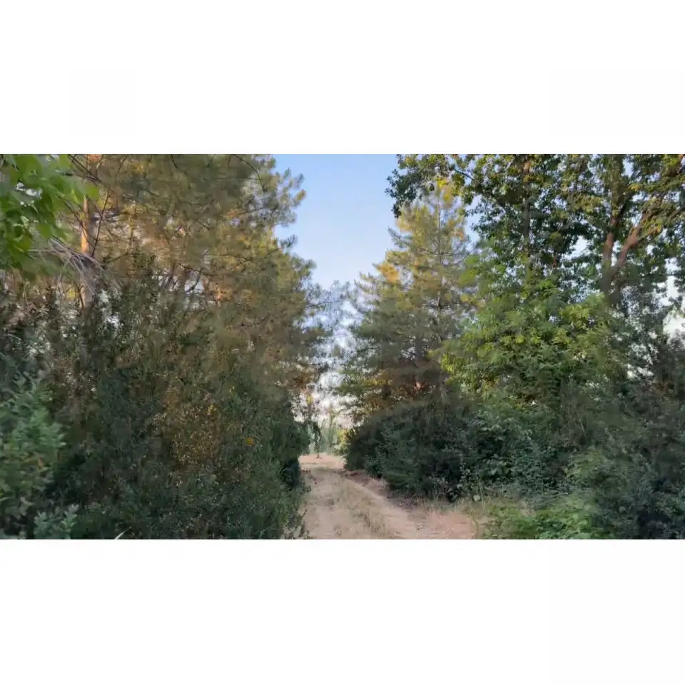 Бывший пионерский лагерь, Краснагорск, фотография 8