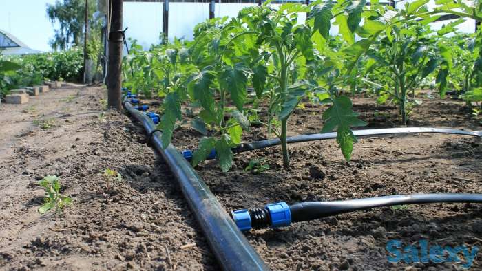 Поставки системы капельного орошения и плёнки для теплиц из Ирана, фотография 1