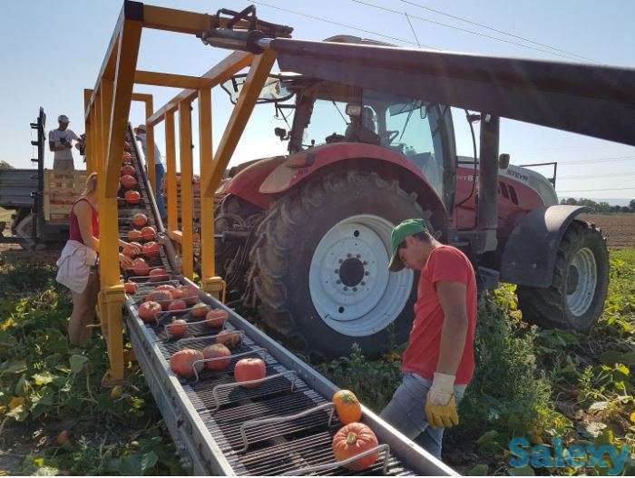 Технологические решения по СБОРУ УРОЖАЯ (Sweere), фотография 5