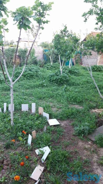 Срочно продаётся своя дача с большим участком(24 сотки), фотография 4