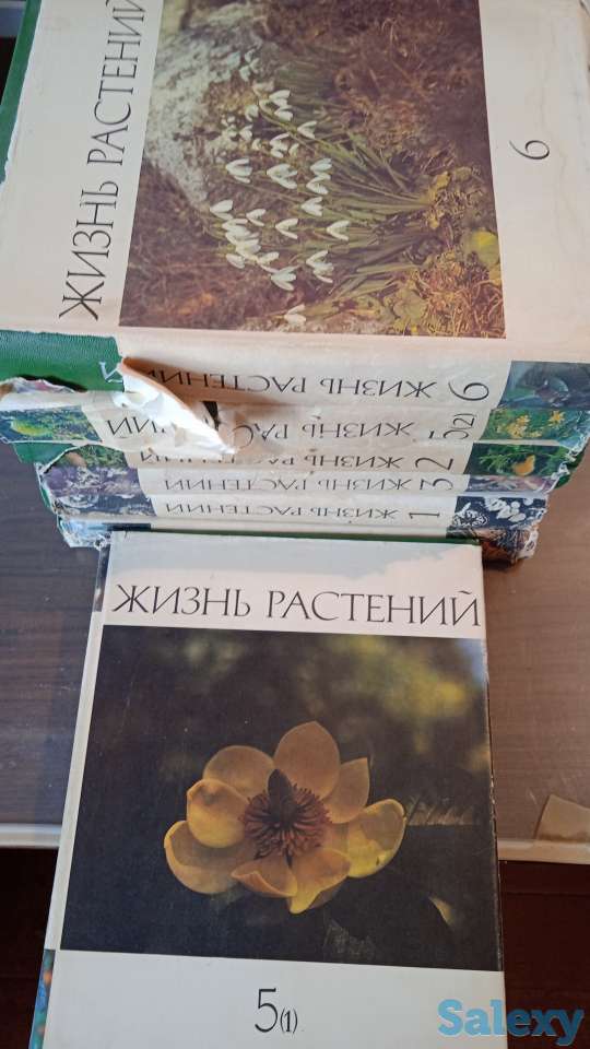 Книги, фотография 2