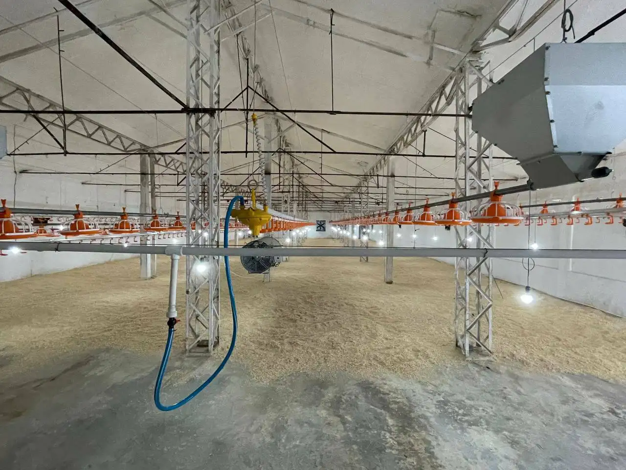 10 га Новый Ташкент, фотография 5