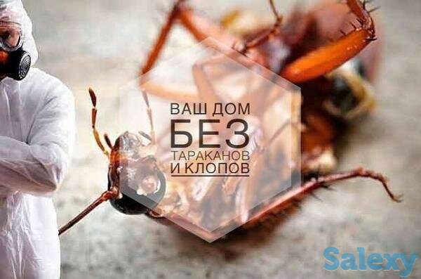 Компания 