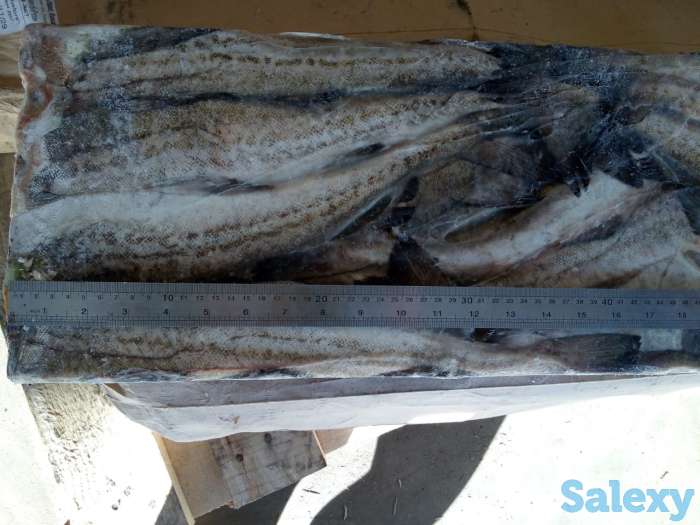Замороженная рыба оптом минтай, горбуша, навага, сельдь ДЕШЕВО, фотография 3