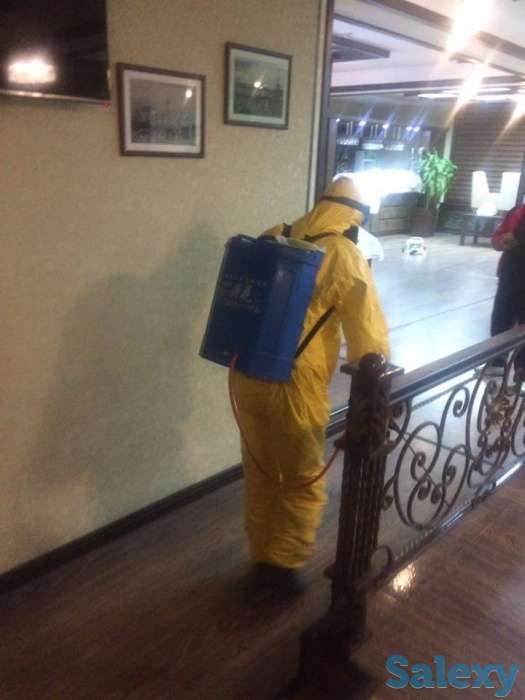 Дезинфекция от насекомых, фотография 6