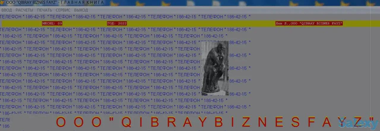 Бухгалтерская программа БП5, фотография 1