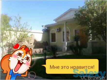 УЙ.Участок, Яшнабадский р-н,массив Янгиабад, фотография 4
