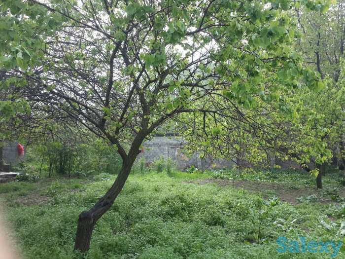 Продается дом недалеко от города Чирчик., фотография 2