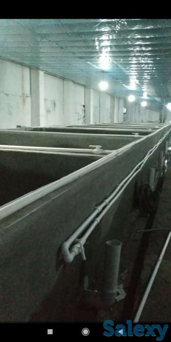 Продаётся рыбное хозяйство, готовый бизнес., фотография 2