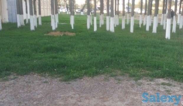 Срочно Земельный Участок 40-43 соток СВОЙ, Адрес: ул, Паркентская-296 дом,, фотография 4