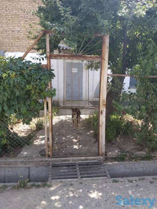 Продам дом, область, Зангиатинский район, махаля Ибрат., фотография 5