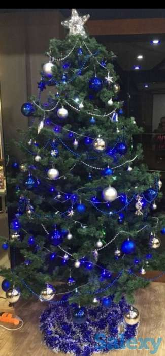 Ёлка, фотография 1