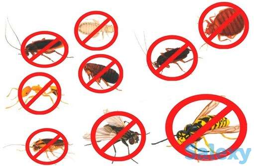 Дезинфекция: СКИДКА 20% 1 год гарантии!, фотография 1