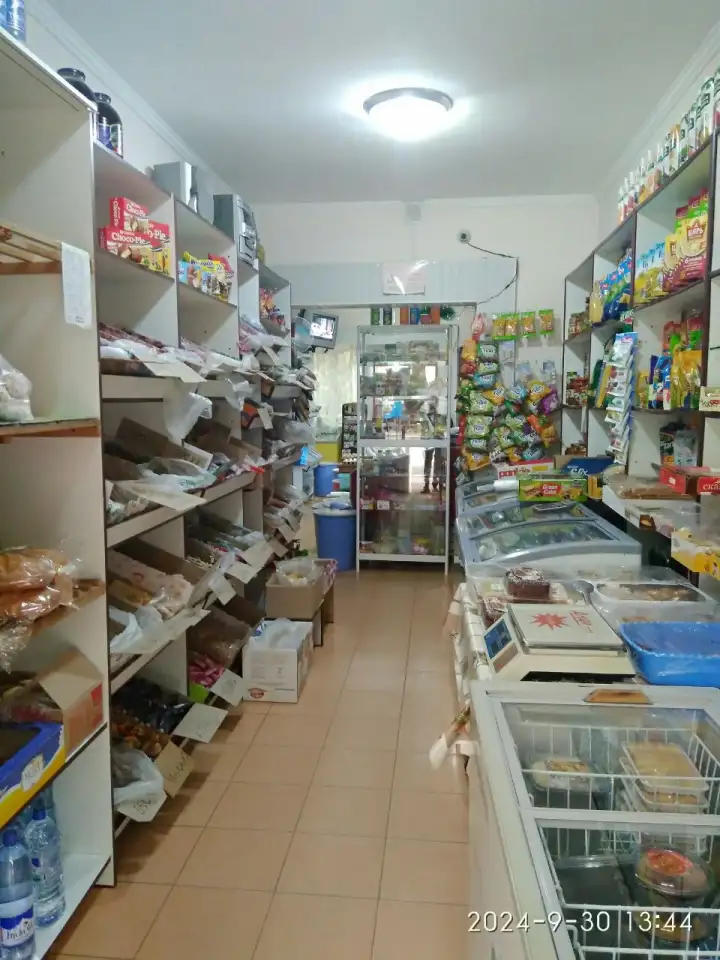 Продажа нежилого помещения с готовым бизнесом, Ттз-1дом 5, фотография 4