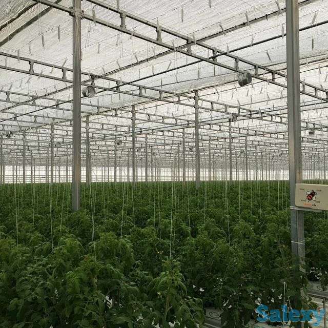 МОНТАЖ КОРЕЙСКИХ ТЕПЛИЦ ПОД КЛЮЧ, фотография 3