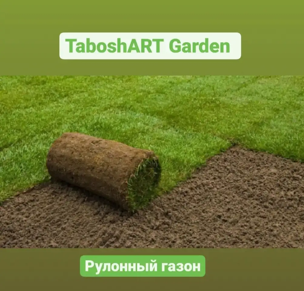 Комплексный уход за газоном и Хвойными, фотография 8