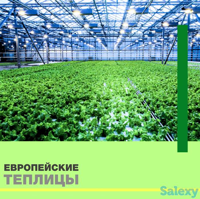 OSC Royal Greenhouses - Строительство Европейских Теплиц 