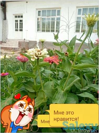 Срочно продам дом в Янгиюле, Янгиюль,ориентир 
