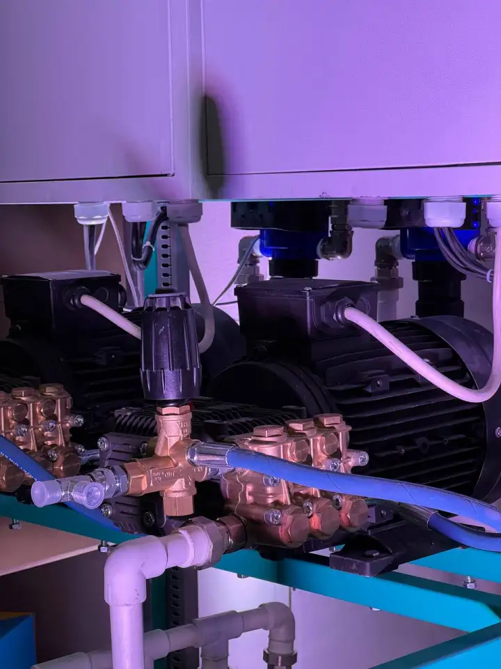 Moy sam uskulari, фотография 5