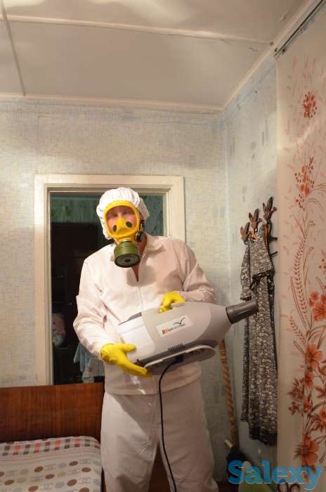 Дезинфекция от клопов и насекомых! Гарантия и Скидки!, фотография 1