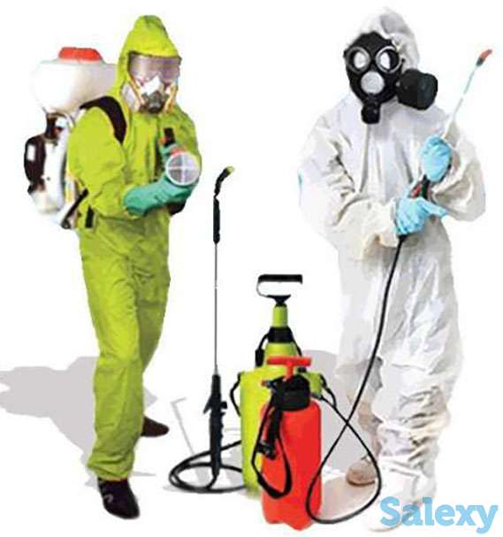 24/7. 100% Уничтожение Насекомых. Гарантия. Тeрминал. Дезинфекция., фотография 1