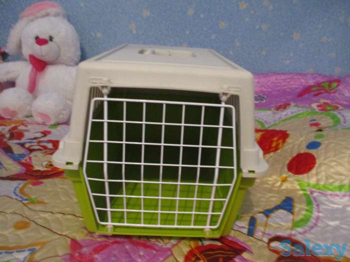 Продам контейнер-переноску для кошки или маленькой собачки,пластик, фотография 1