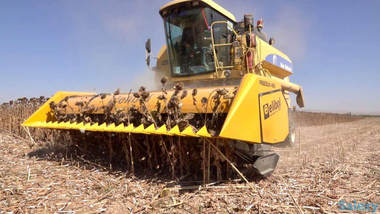 Жатка для уборки подсолнечника Elibol Freesun 550 на комбайн, фотография 6