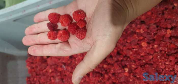 Замороженные овощи и фрукты, фотография 2