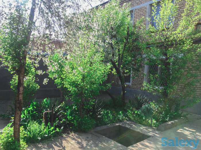 Продам коттедж, НИИ овощеводство и бахчевых культур, фотография 3