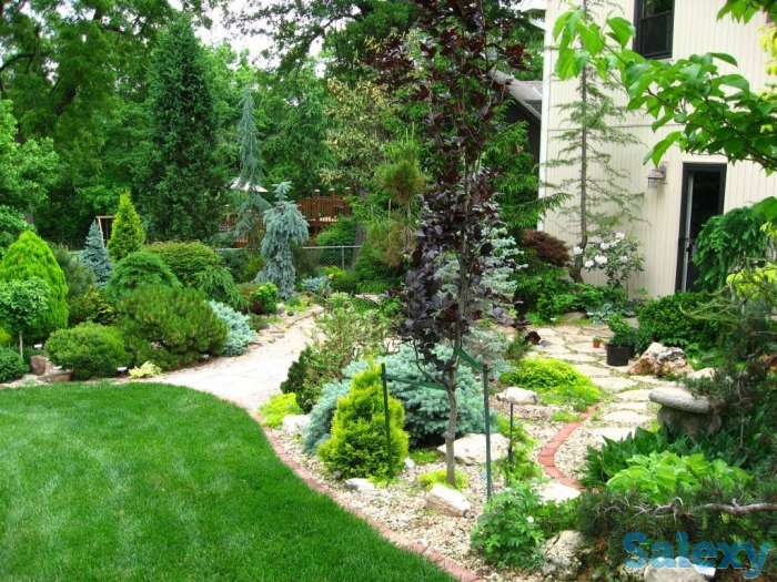 Посев газона, цветники, клумбы, рокарии, альпинарии. Делаем искусственные водопады и барельефы. Установка систем авто по, фотография 12