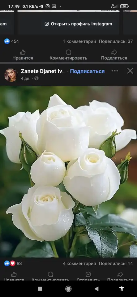 Здоровая семья, фотография 1