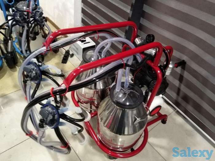 Доильный Аппарат для коров из Турции, фотография 2